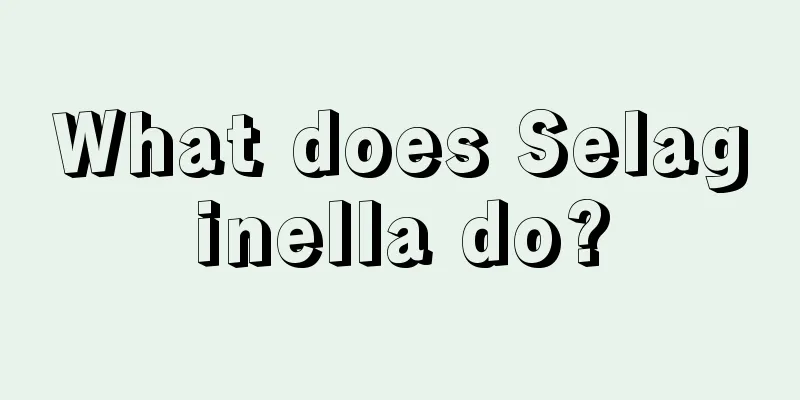 What does Selaginella do?