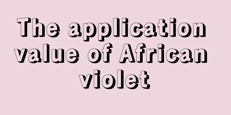 The application value of African violet