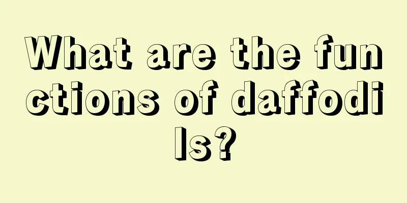 What are the functions of daffodils?