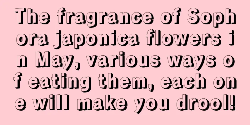 The fragrance of Sophora japonica flowers in May, various ways of eating them, each one will make you drool!