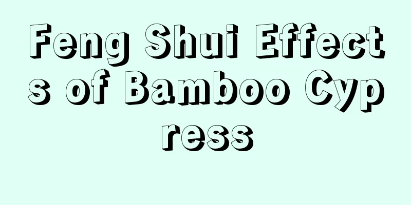 Feng Shui Effects of Bamboo Cypress