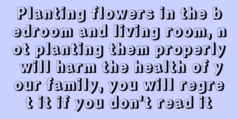 Planting flowers in the bedroom and living room, not planting them properly will harm the health of your family, you will regret it if you don't read it