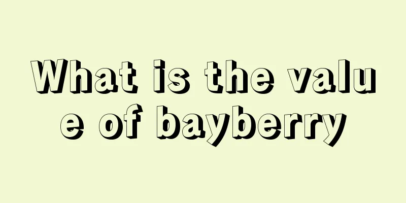 What is the value of bayberry