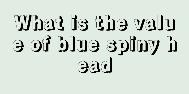 What is the value of blue spiny head