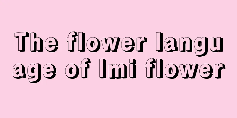 The flower language of Imi flower