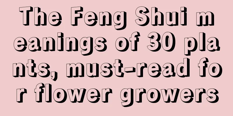 The Feng Shui meanings of 30 plants, must-read for flower growers