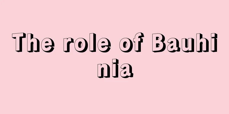 The role of Bauhinia