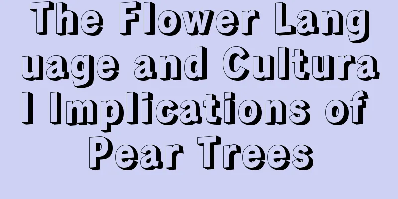 The Flower Language and Cultural Implications of Pear Trees