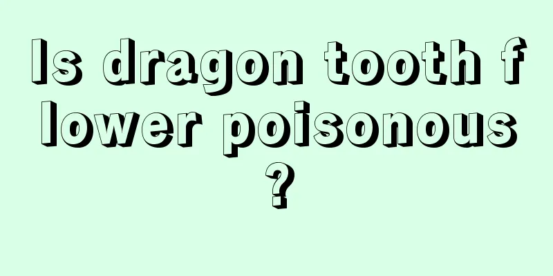 Is dragon tooth flower poisonous?