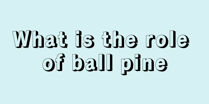 What is the role of ball pine