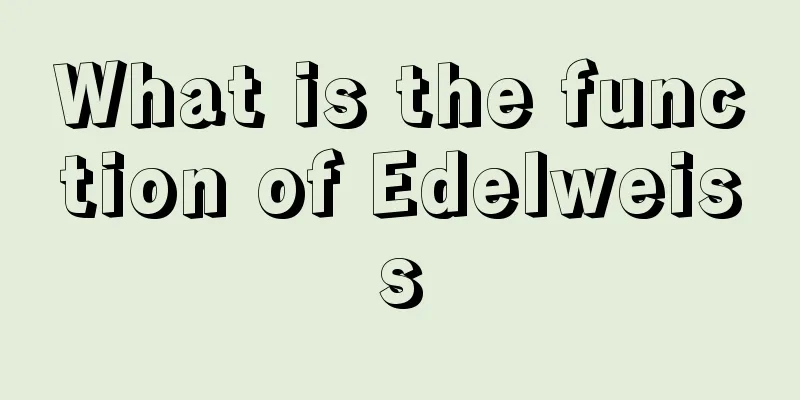 What is the function of Edelweiss