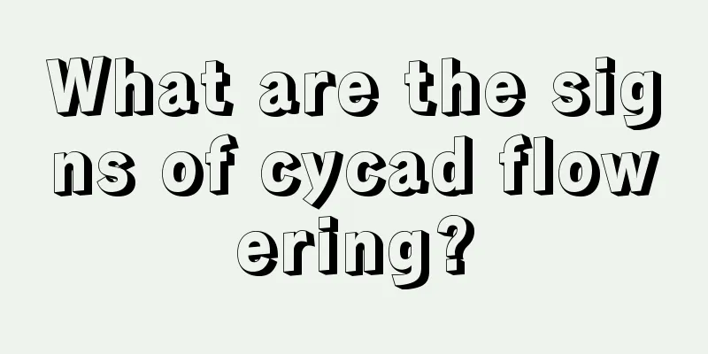 What are the signs of cycad flowering?