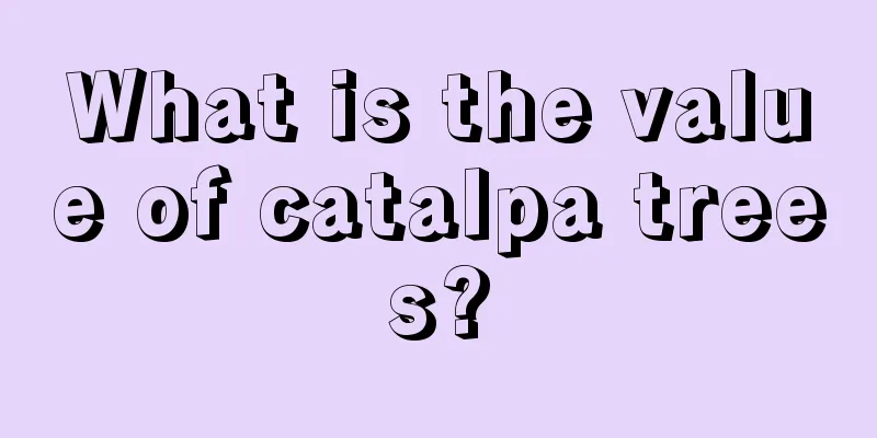 What is the value of catalpa trees?