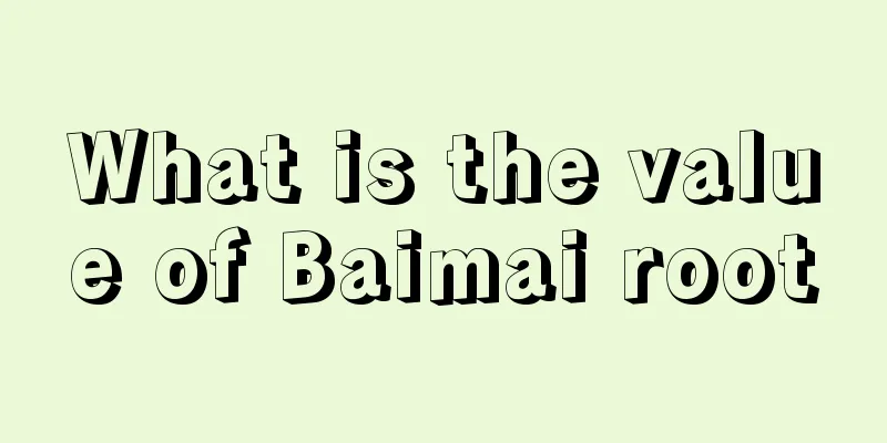 What is the value of Baimai root