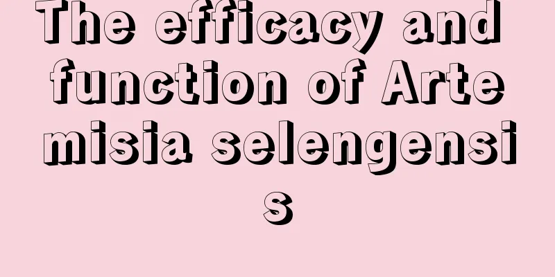 The efficacy and function of Artemisia selengensis