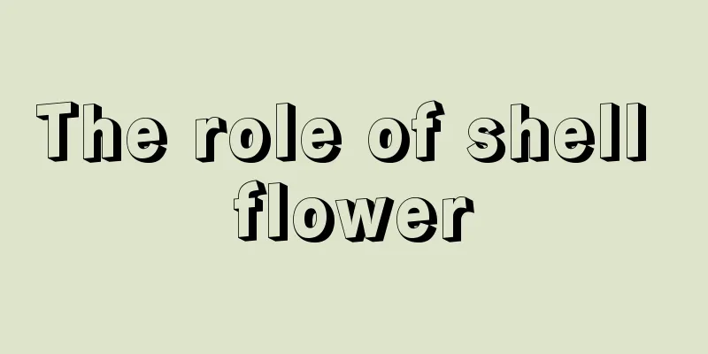 The role of shell flower