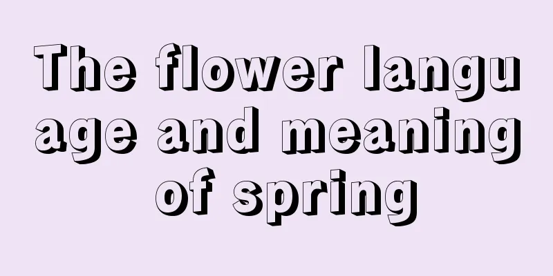 The flower language and meaning of spring