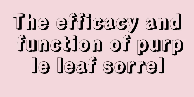 The efficacy and function of purple leaf sorrel