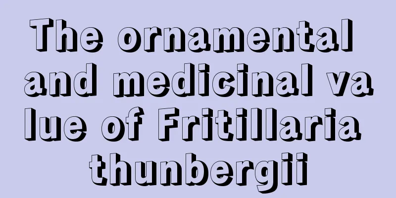 The ornamental and medicinal value of Fritillaria thunbergii