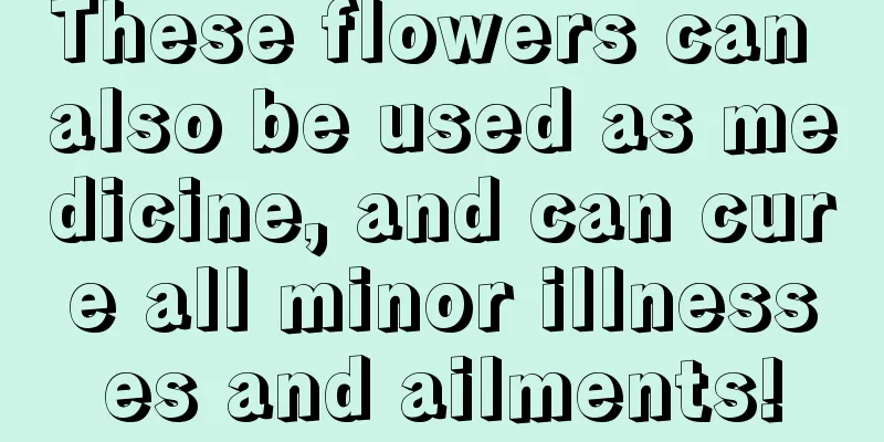 These flowers can also be used as medicine, and can cure all minor illnesses and ailments!