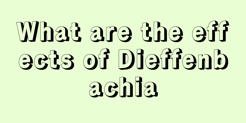 What are the effects of Dieffenbachia