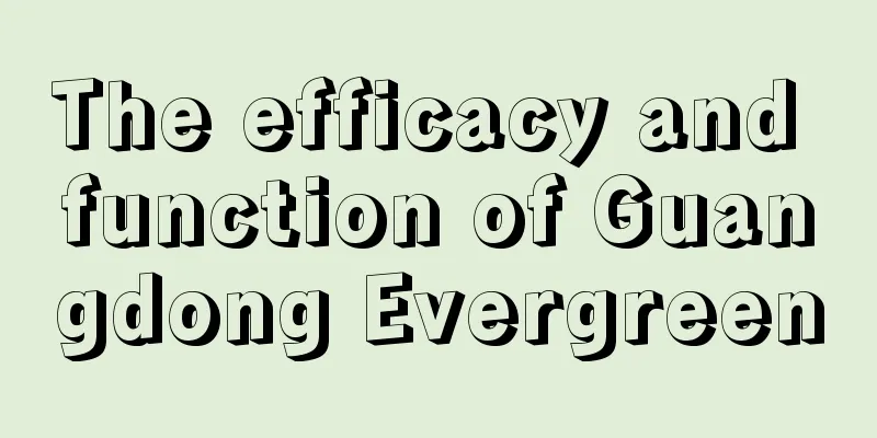 The efficacy and function of Guangdong Evergreen