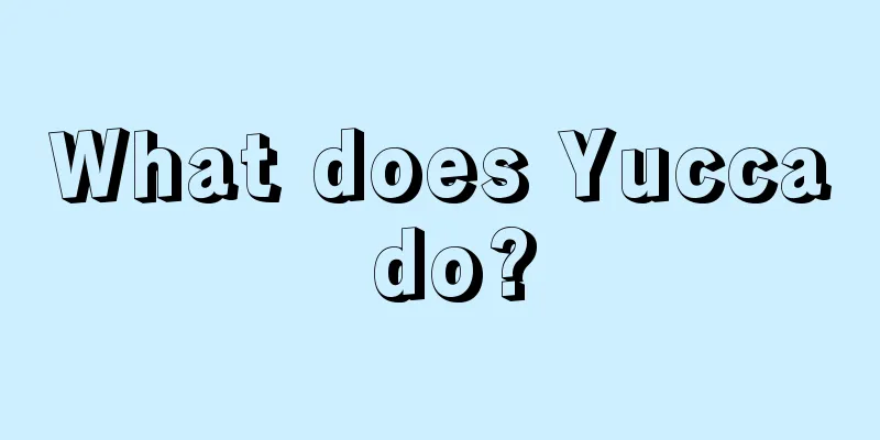 What does Yucca do?