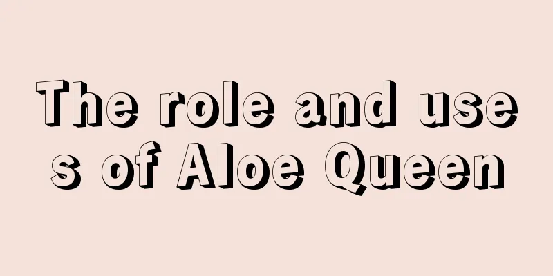 The role and uses of Aloe Queen