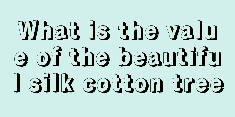 What is the value of the beautiful silk cotton tree