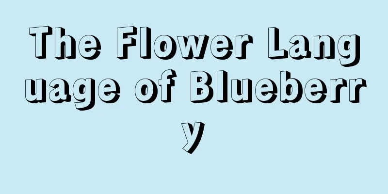 The Flower Language of Blueberry