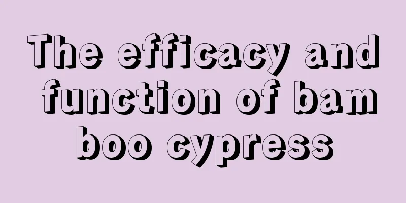 The efficacy and function of bamboo cypress