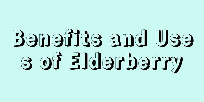 Benefits and Uses of Elderberry