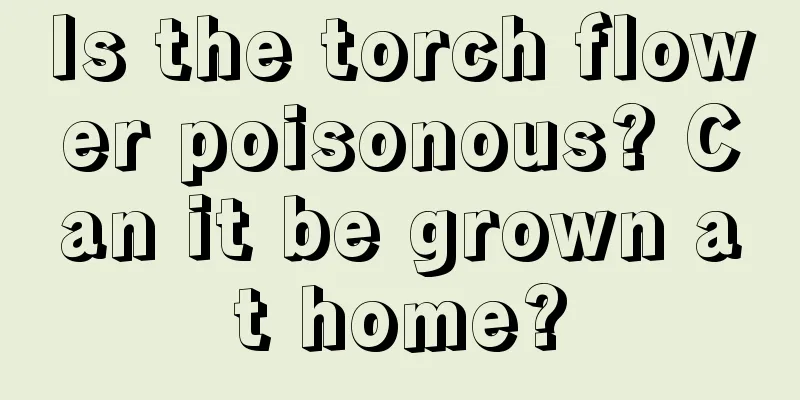 Is the torch flower poisonous? Can it be grown at home?