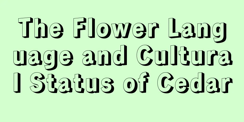 The Flower Language and Cultural Status of Cedar