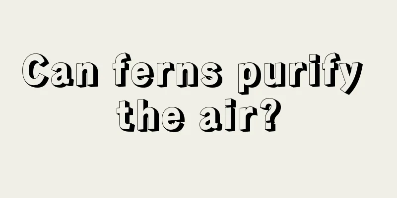 Can ferns purify the air?