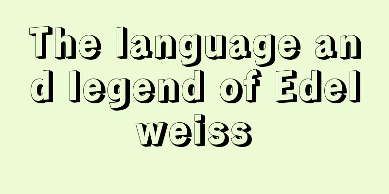 The language and legend of Edelweiss