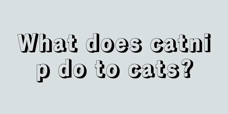 What does catnip do to cats?