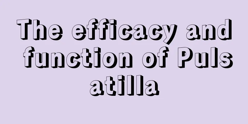 The efficacy and function of Pulsatilla