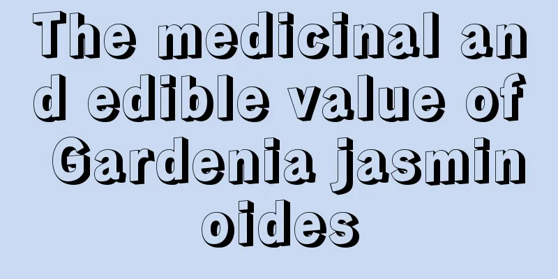 The medicinal and edible value of Gardenia jasminoides