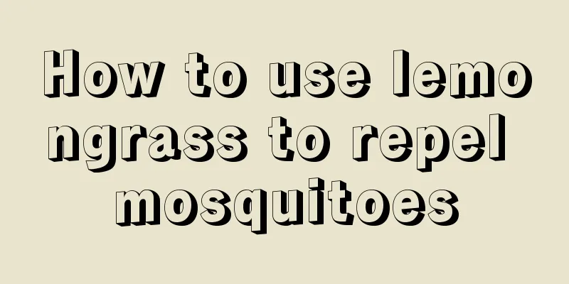 How to use lemongrass to repel mosquitoes