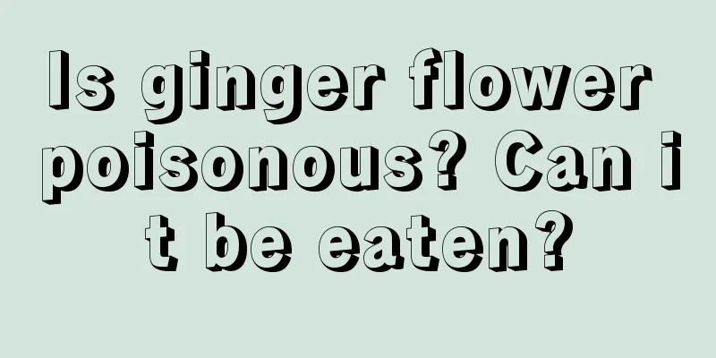 Is ginger flower poisonous? Can it be eaten?