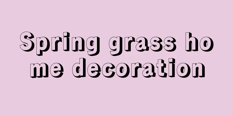 Spring grass home decoration