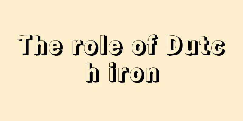 The role of Dutch iron