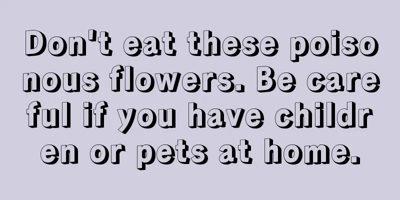 Don't eat these poisonous flowers. Be careful if you have children or pets at home.