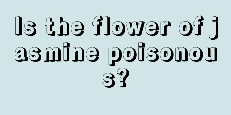 Is the flower of jasmine poisonous?