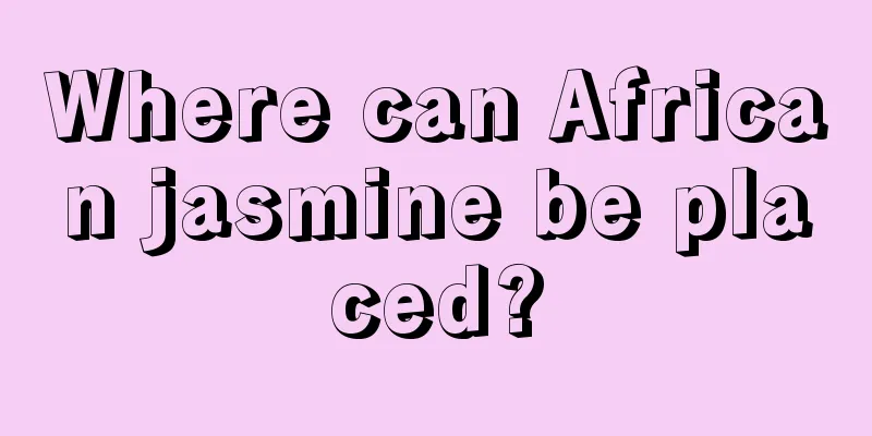 Where can African jasmine be placed?