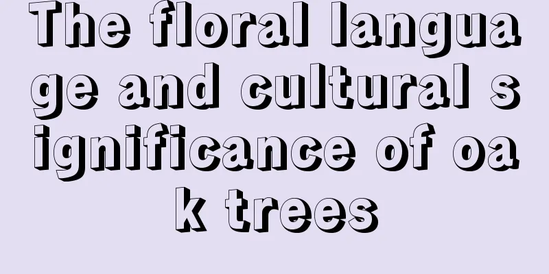 The floral language and cultural significance of oak trees