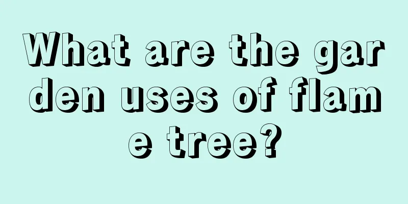 What are the garden uses of flame tree?