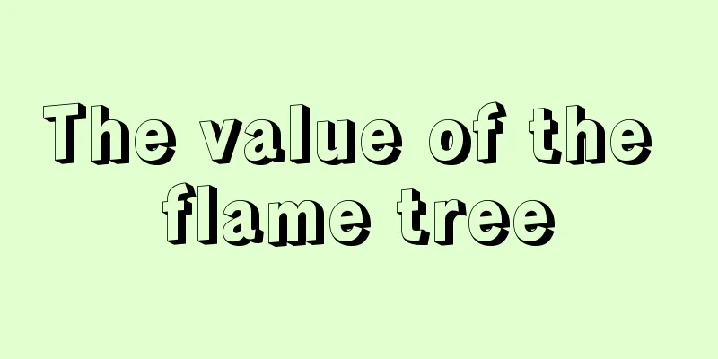 The value of the flame tree