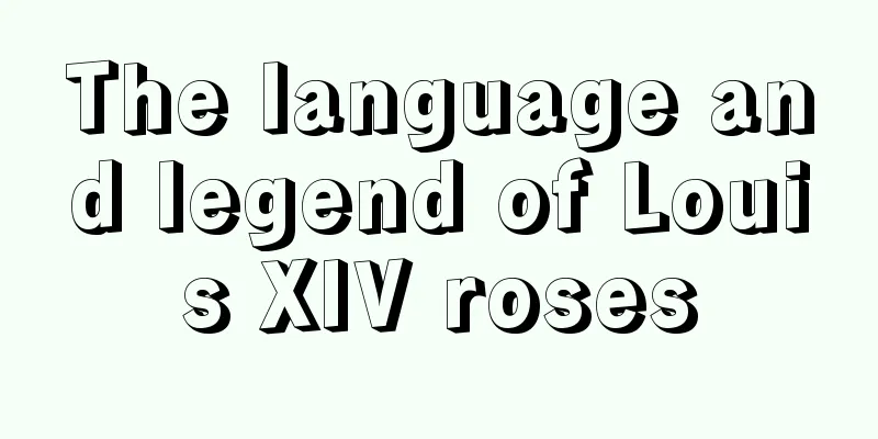 The language and legend of Louis XIV roses